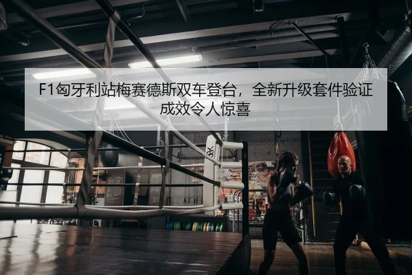xiong-ya-li-zhan-mei-sai-de-si-shuang-che-deng-tai-quan-xin-sheng-ji-tao-jian-yan-zheng-cheng-xiao-ling-ren-jing-xi-2-603.jpg